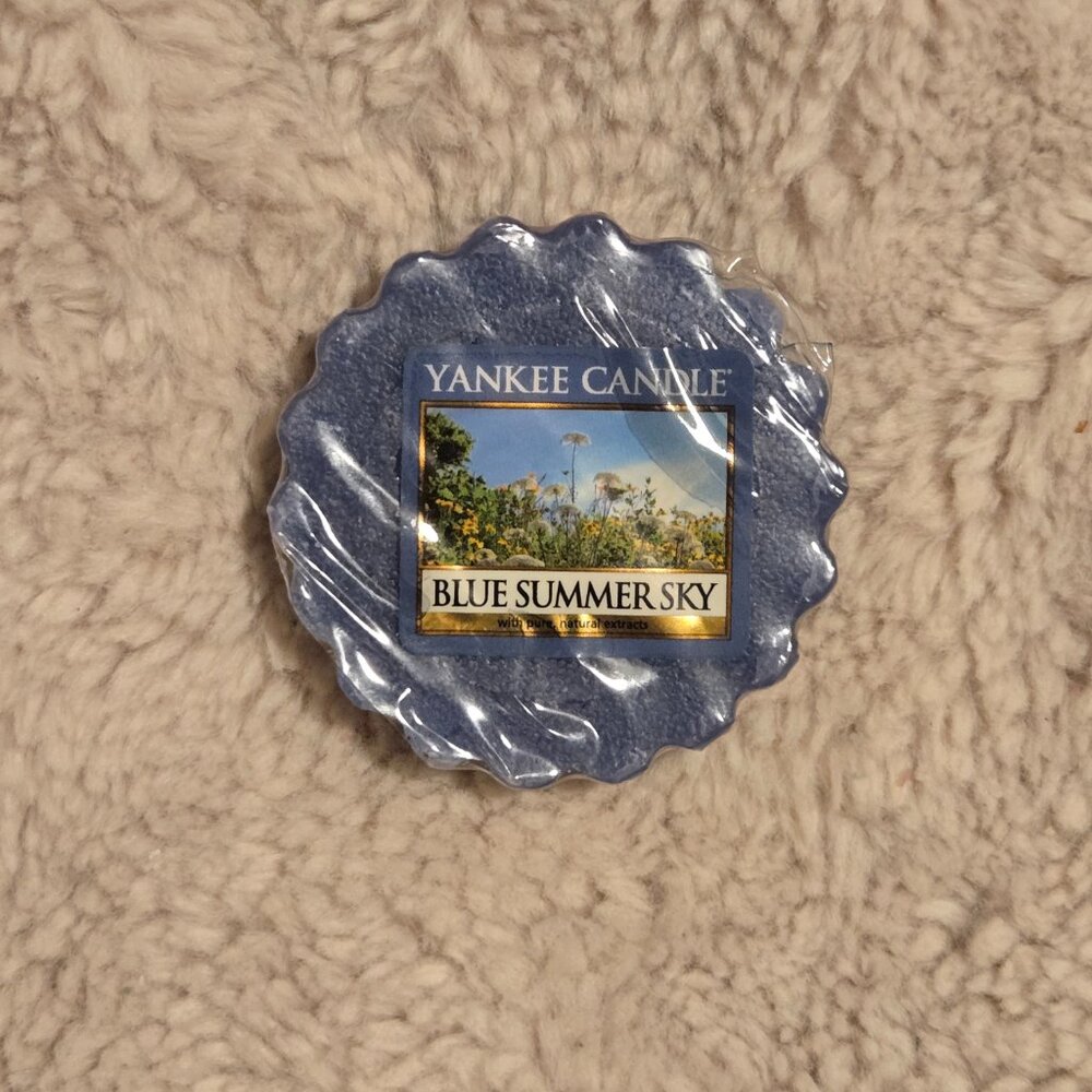 Lot of Sixteen Wax Melts by Yankee Candle - Picture 7 of 11